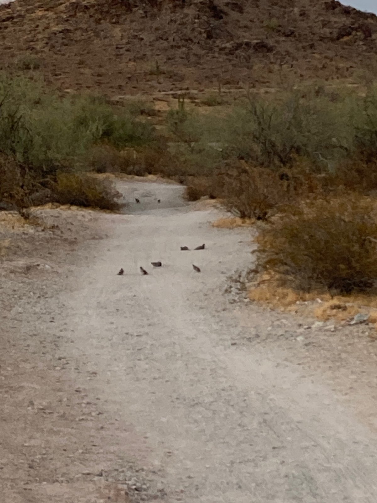 BirdConvention.jpg