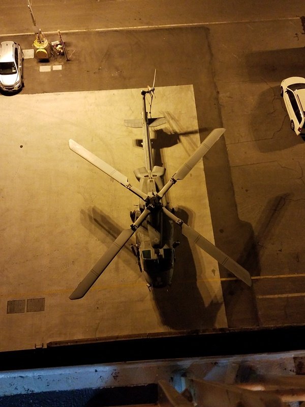 birds eye small.jpg
