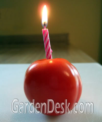 Birthday_f4fdd538ee551f256e07eb226fddb45c138631c5.jpg
