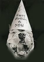 birthdaydog_9ec8901eed06a1dbfb589529058d2b84e8a83ac1.jpg