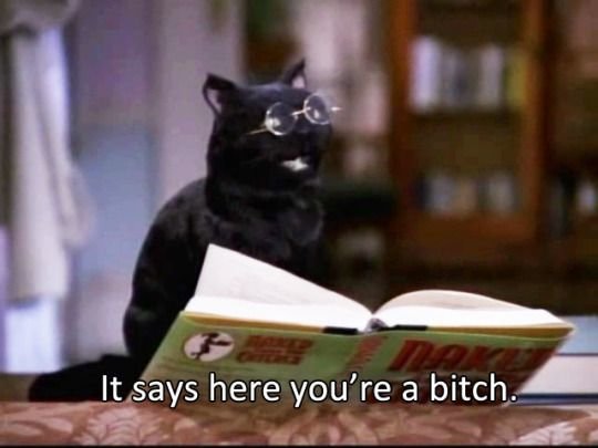 bitch.jpg