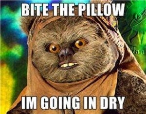 bite-the-pillow-i-m-going-in-dry-ae60ced_f812f5cd8b39e1e2385e09e244201504b39e5666.jpg