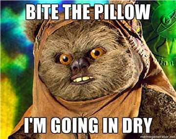 Bite-the-pillow-Im-going-in-dry_bb082cb8716bd19af08d3fb82fc43d3adf358de4.jpg