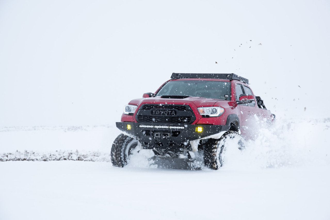 Bittytruck-35.2.jpg