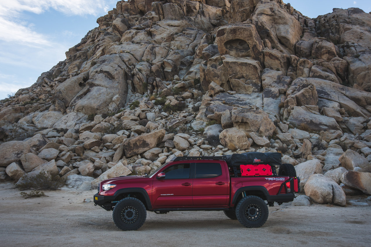 Bittytruck (40 of 1).jpg