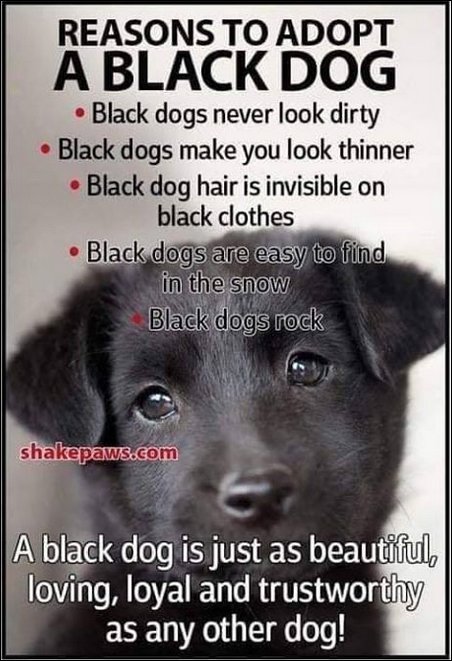 blac.jpg