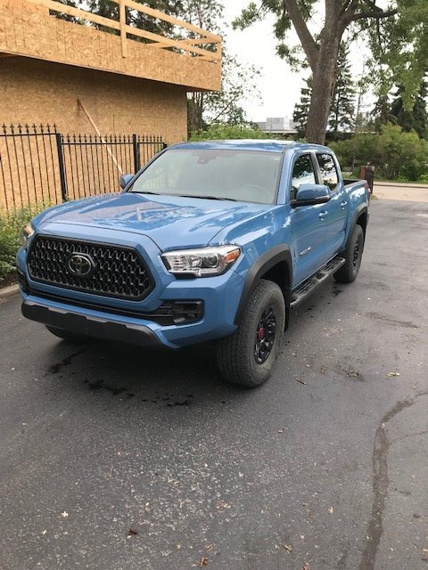 Black Grille.jpg