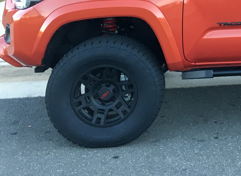 Black Lugs.jpg