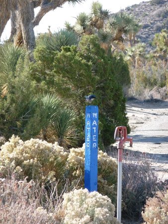 black-rock-campground.jpg