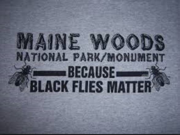 BlackFliesMatter.jpg