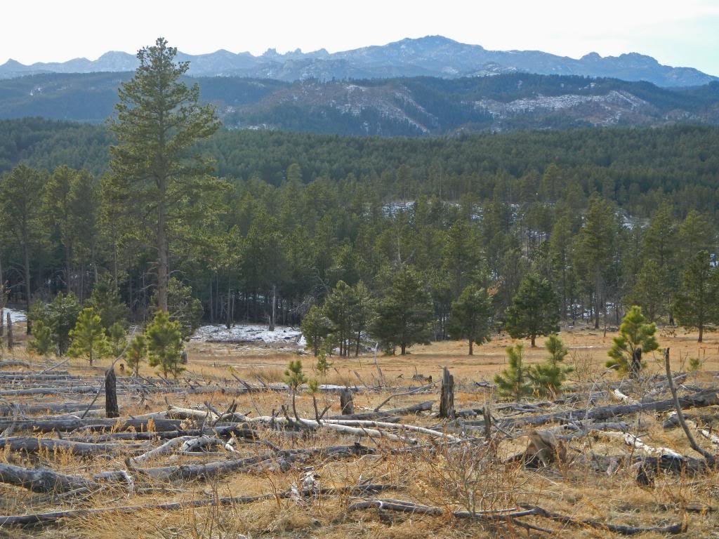 BlackHills_011114_1651_edited-1_zps3ac7e_6d534fc9354570ecfe45a552d1e23dc5e3c2c892.jpg