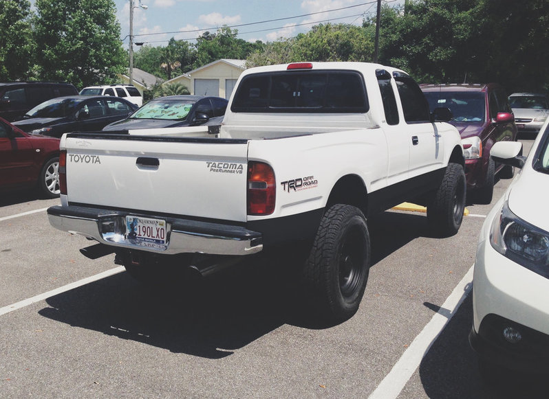 blacklower.jpg
