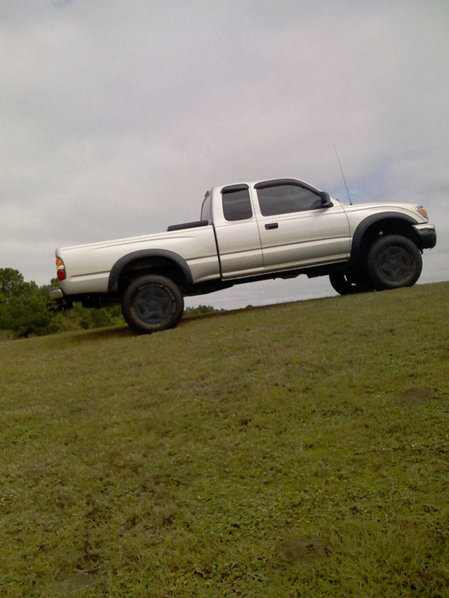 blackrims.jpg