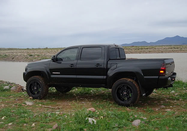 blackwheels_af95b4fe0b6591fea7fa868aa7363fa92289cc8e.jpg