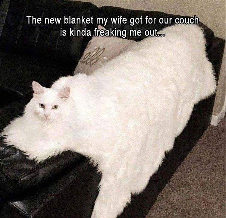 blanket.jpg