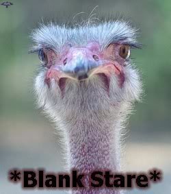 blankstare_b86a831174d29c4e96a4410e350860673c9a39ca.jpg