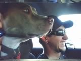 blaze&I.jpg