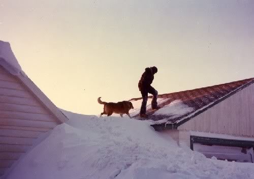 Blizzard77Roof_fcbee3bb10d030b0c2f77c9373c567cd8ecd823c.jpg