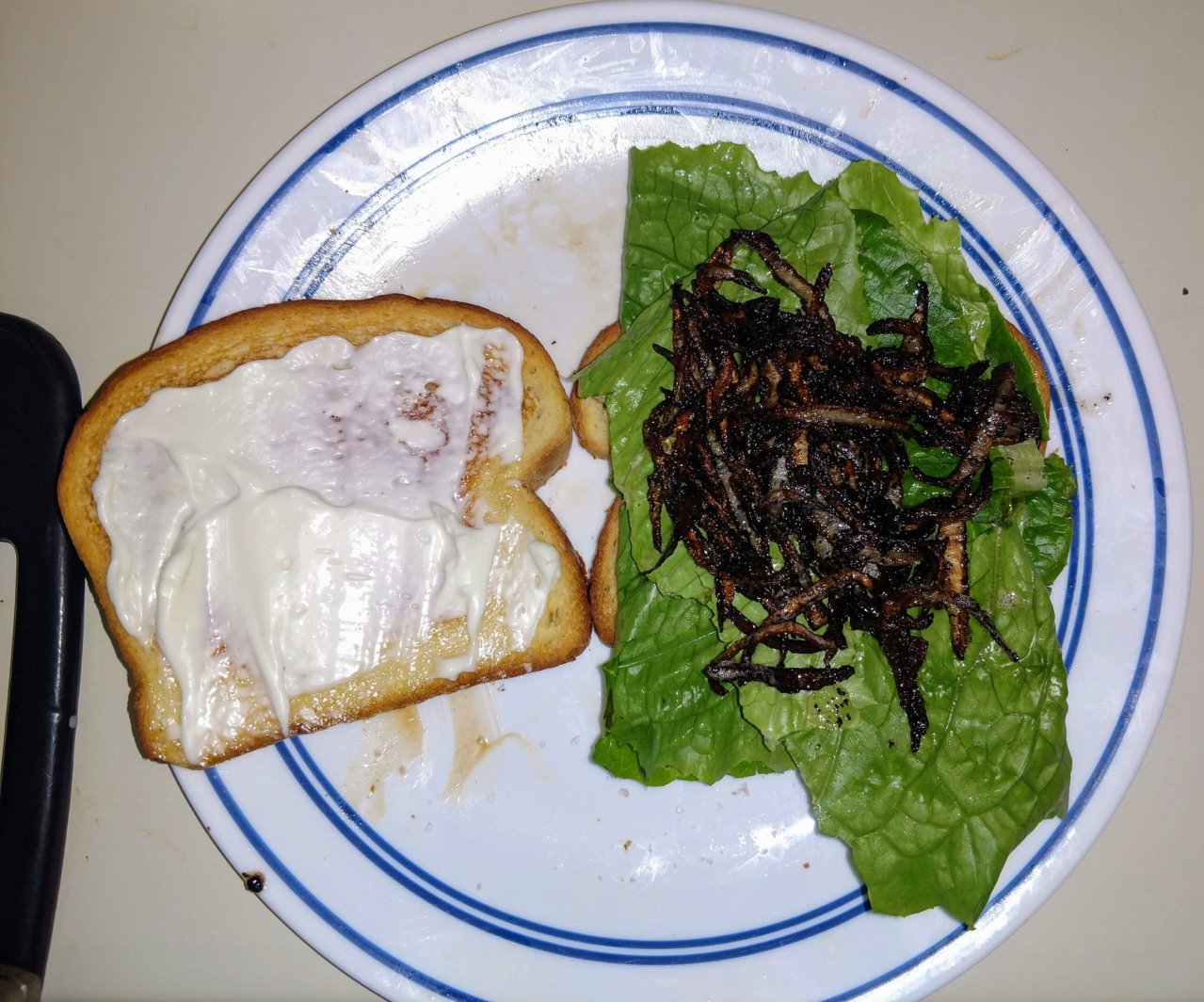 BLTCarmOnions.jpg