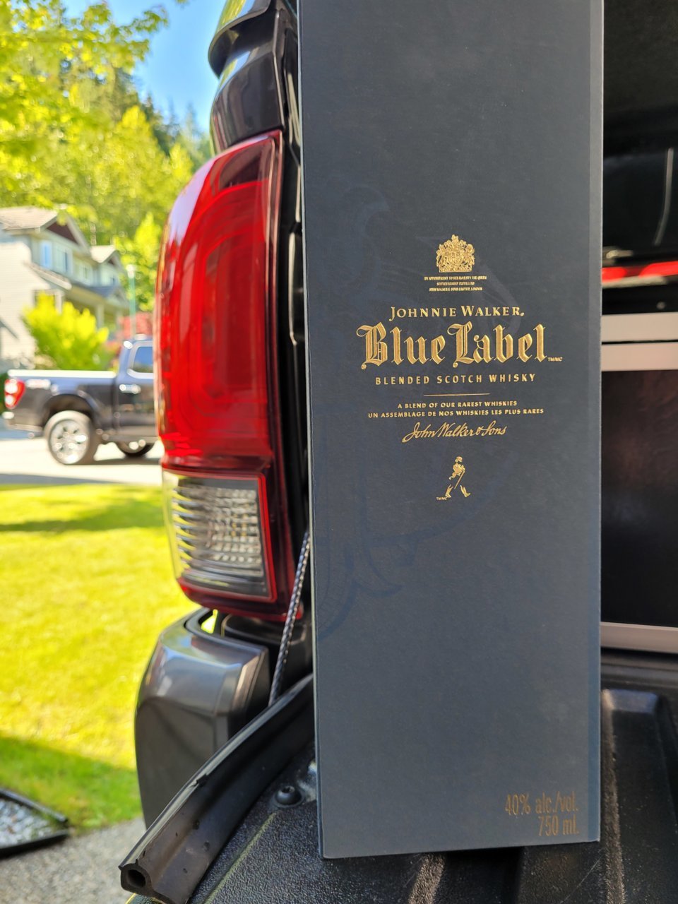 blue (1).jpg