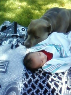 blue and baby.jpg