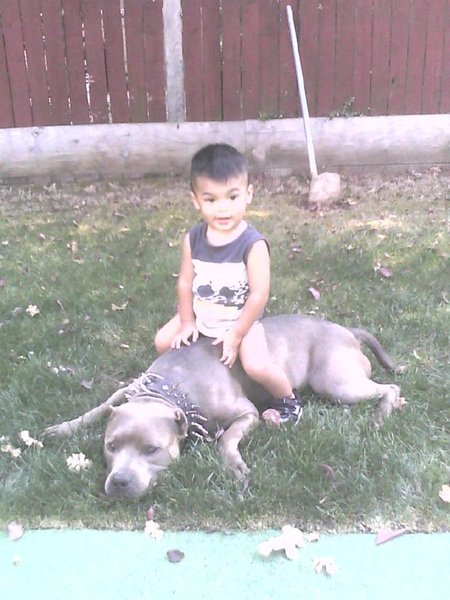 blue and izzy.jpg
