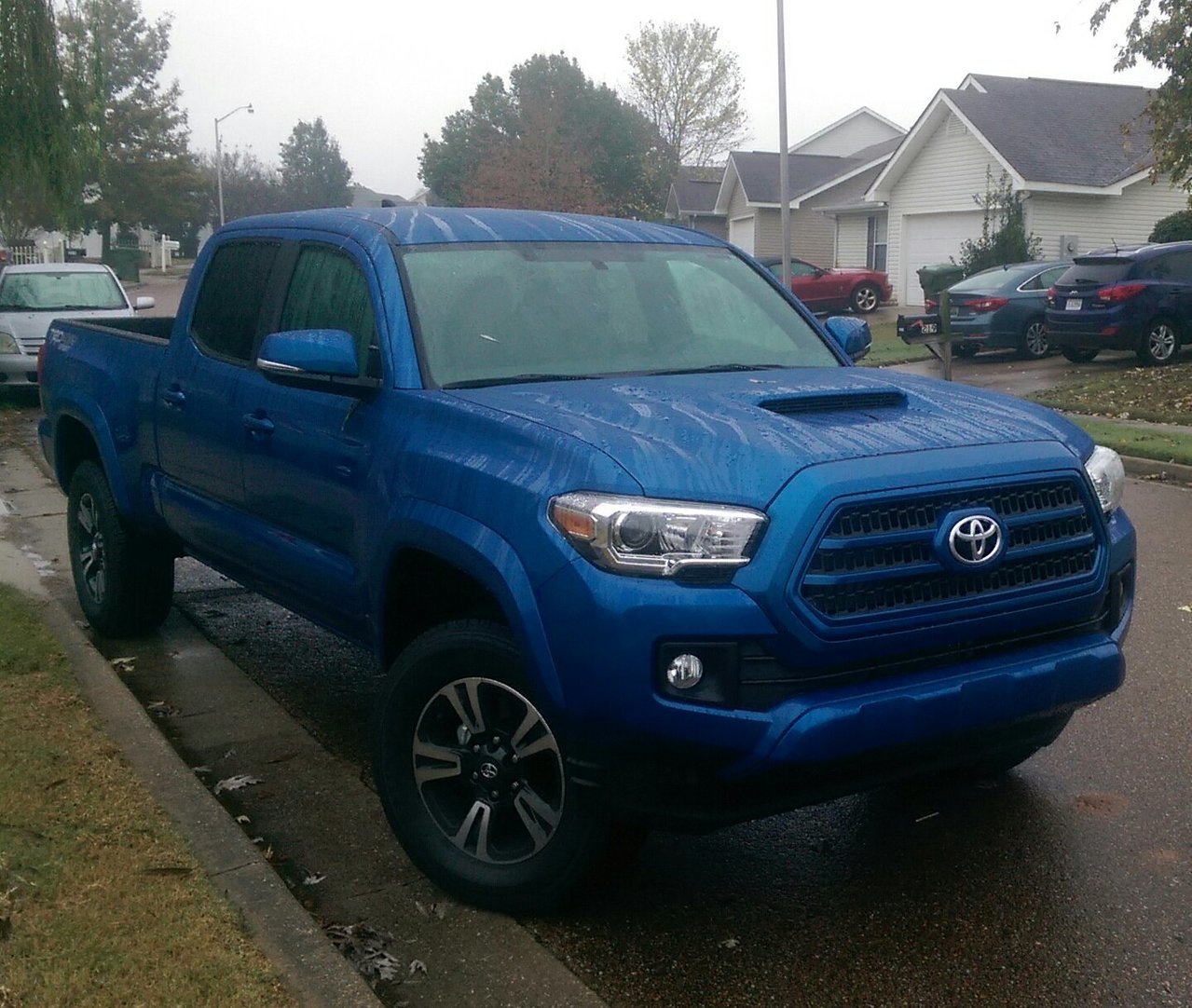 blue grille.jpg
