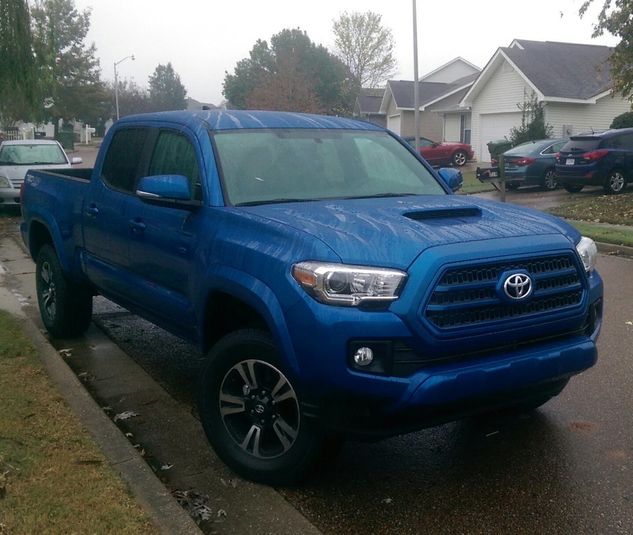 blue grille.jpg