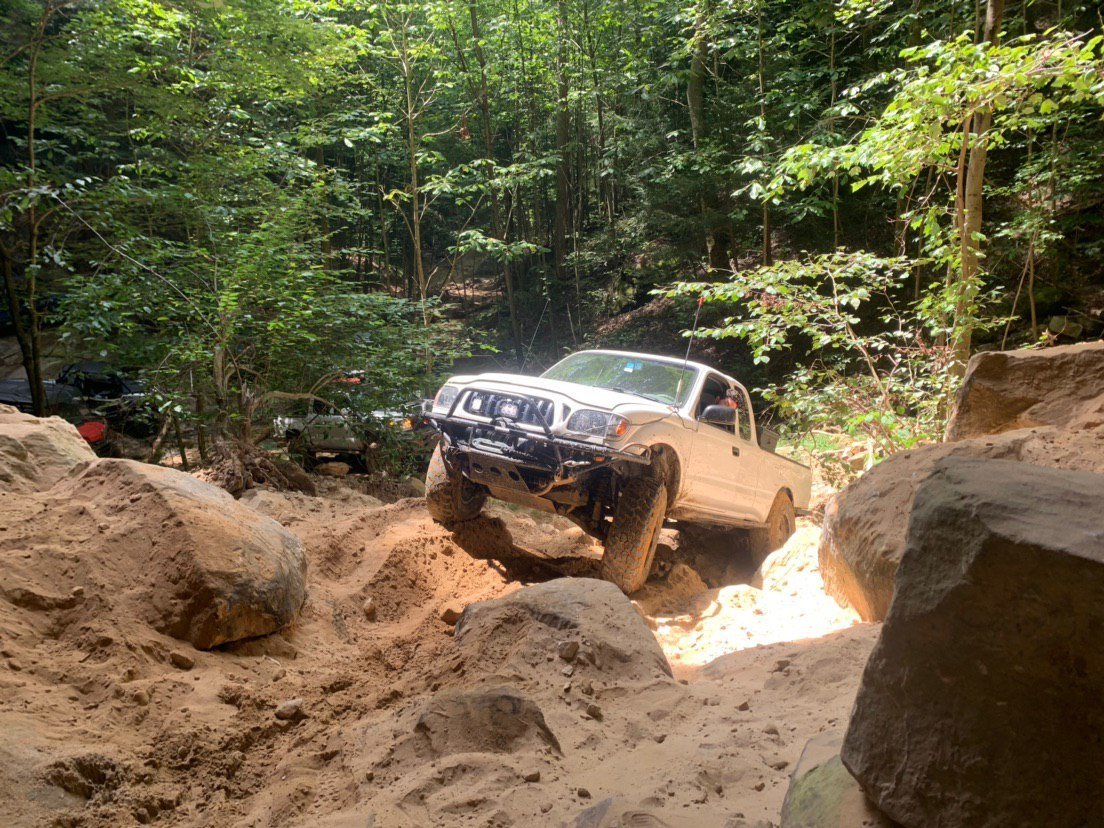 blue holler.jpg