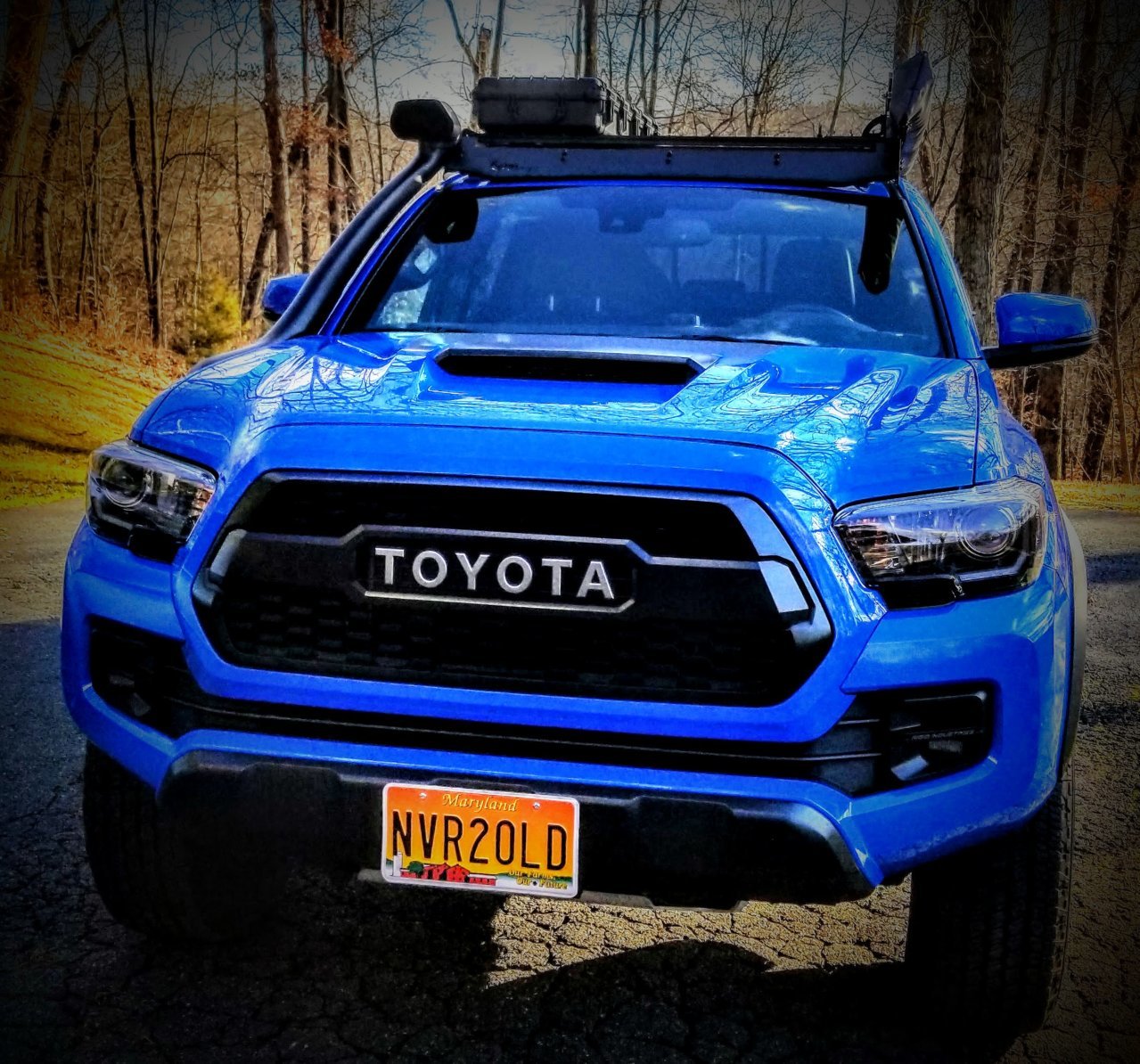 Blue.jpg