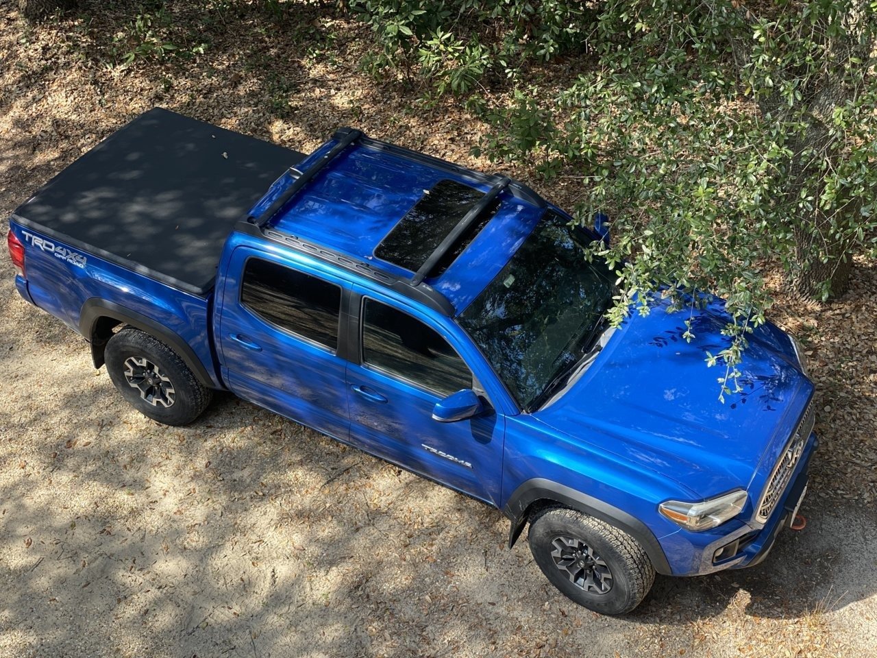 blue.jpg