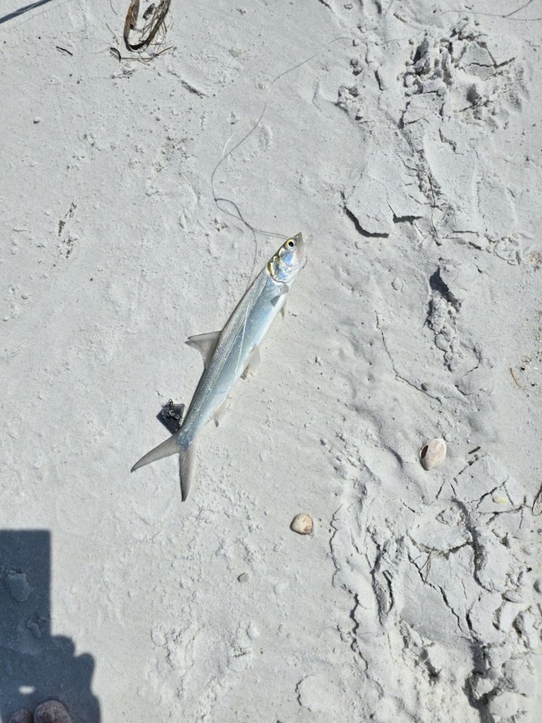 blue.jpg