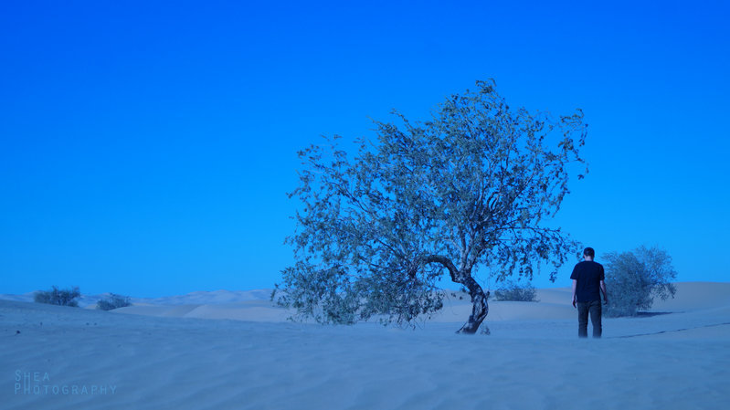 Blue.jpg
