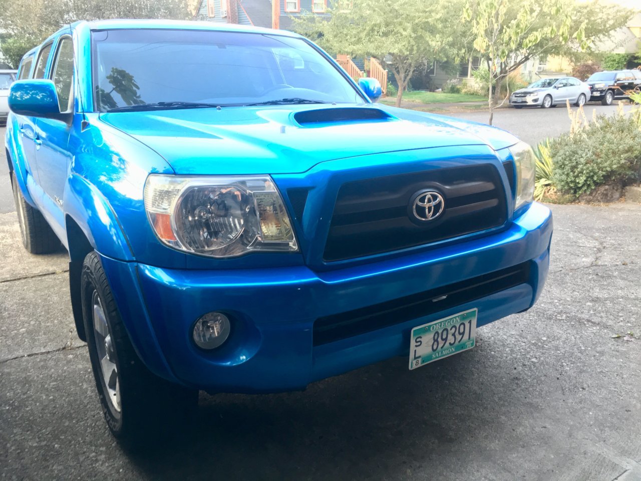 Blue plate.jpg