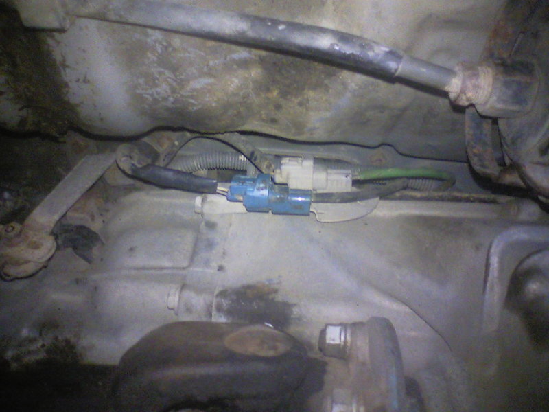blue plug.jpg