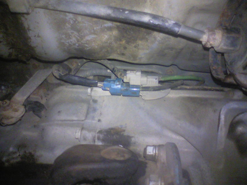 blue plug.jpg