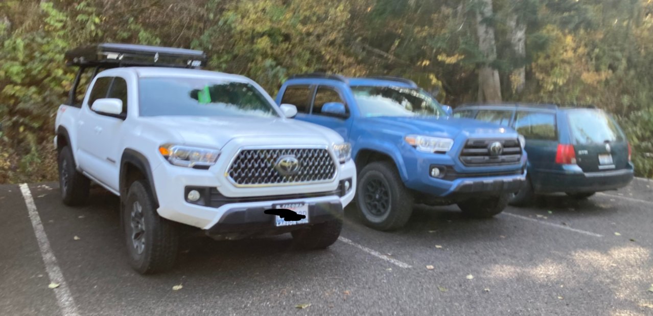 Blue sr5.jpg