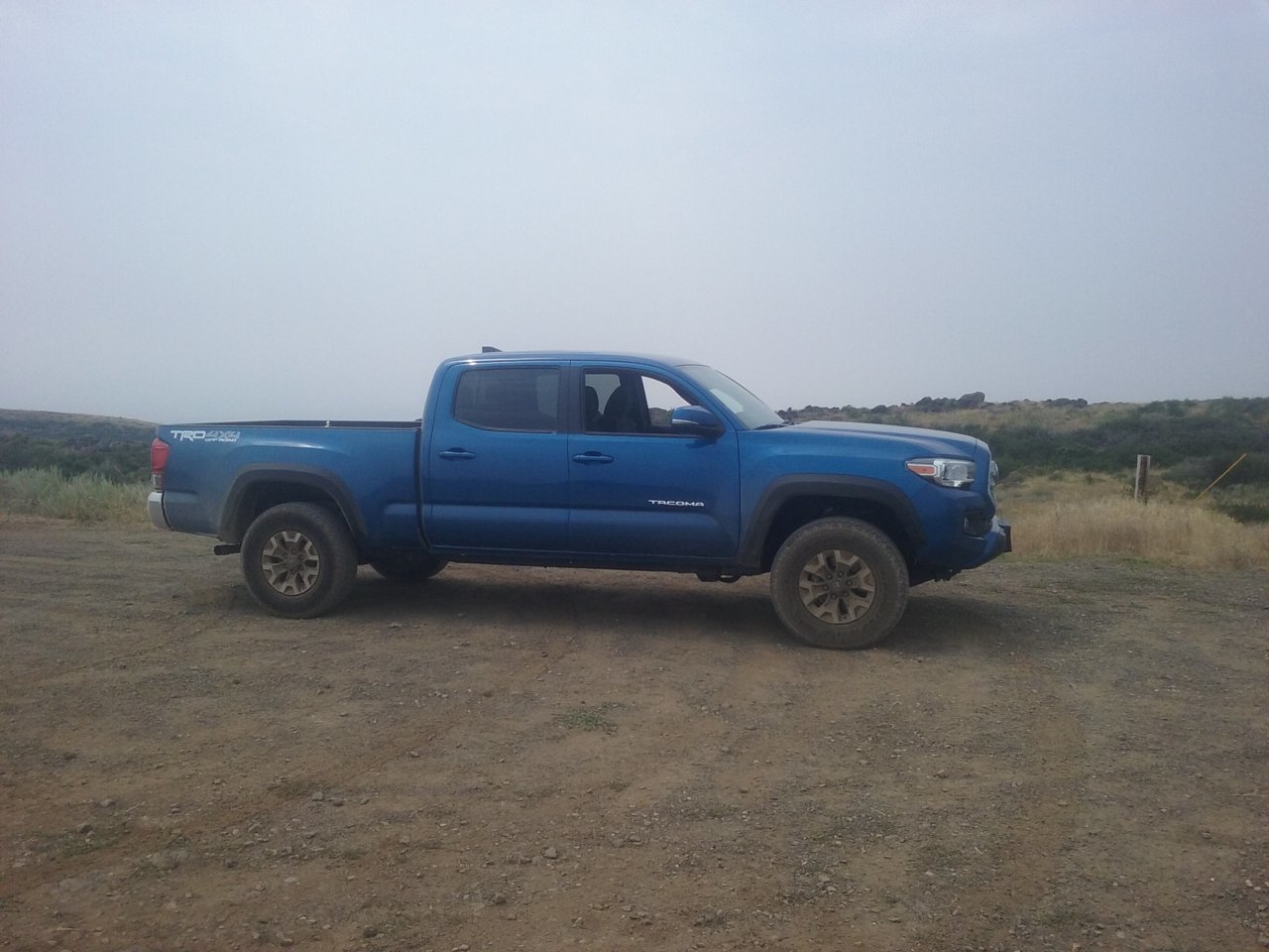 Blue Taco I.jpg