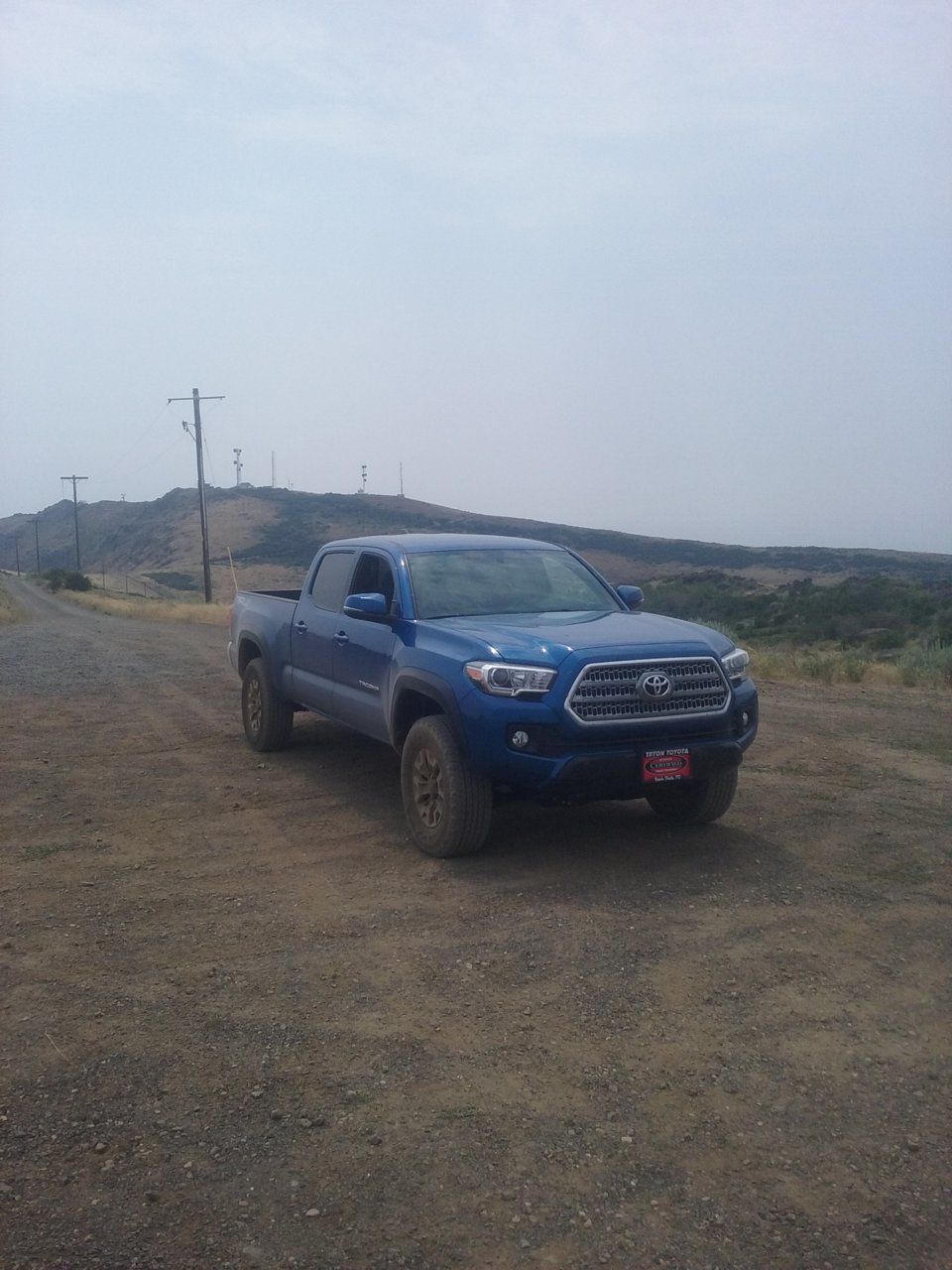 Blue Taco II.jpg