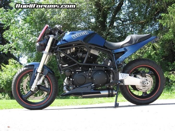 bluebuell_6f8c9acc9367025d9b88f1882b8cce3efbd817e0.jpg