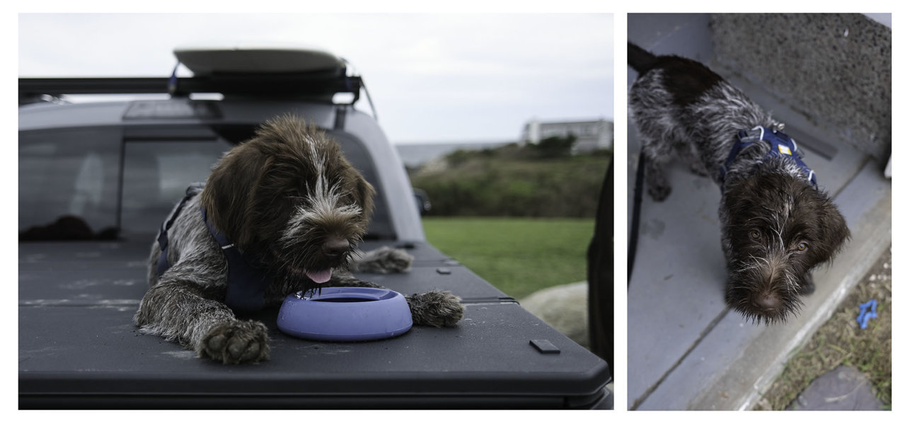 bluediptych.jpg