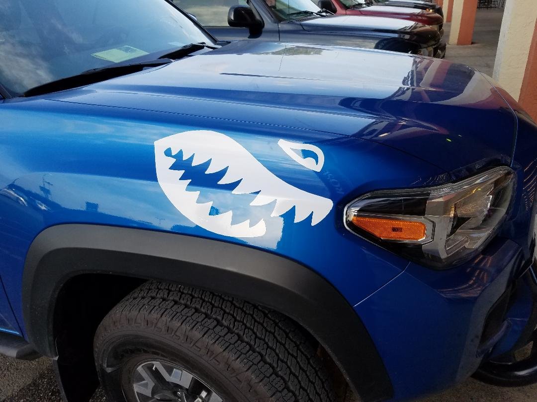 bluefalcon1.jpg