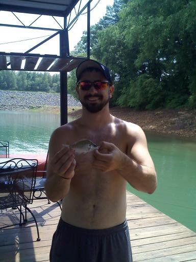 bluegill_345c8a044384e66a2755ea9fb50edcc632defebb.jpg