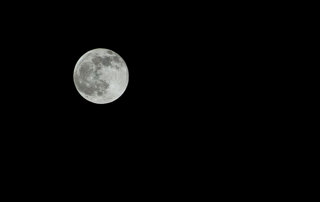 bluemoon_5cee201c956d2a62c4d4a7c974d6f287472e669d.jpg