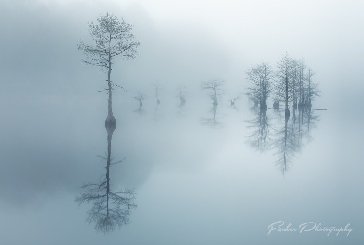 BLXDB1GiEFuL_rGNfmKTMEpFRjqzaRkj5eAmBJAQ_36b71a86cb84c372ae343b18016717b162cb3454.jpg