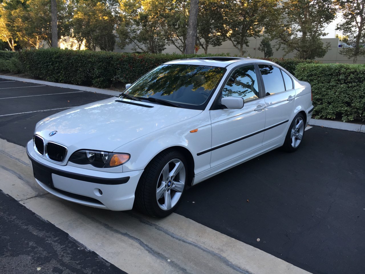 BMW.jpg