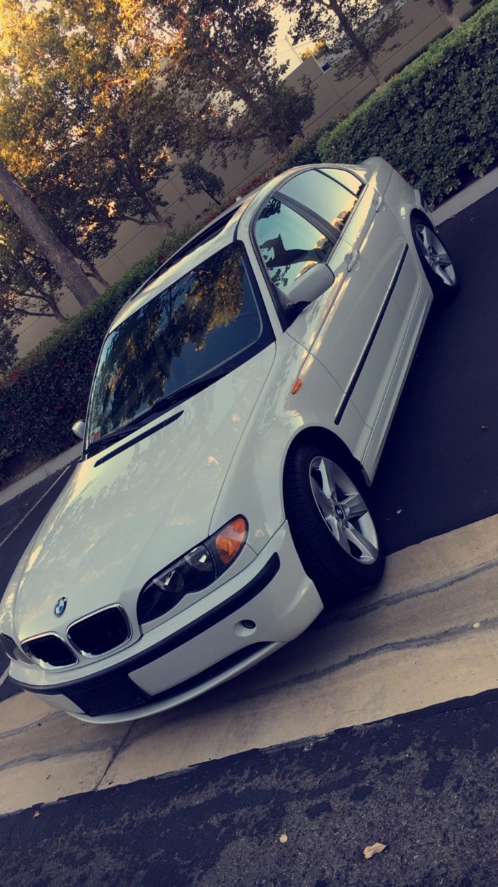BMW2.jpg