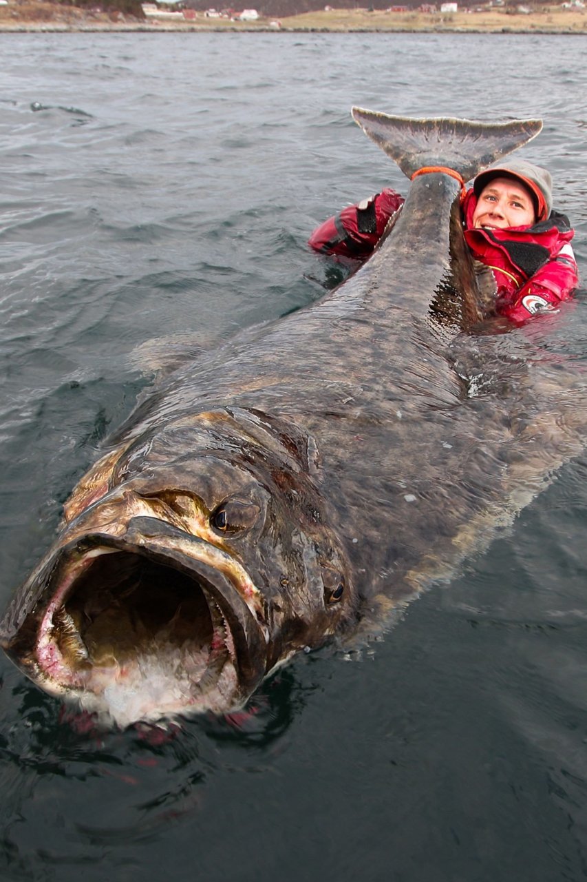 bn_catchoftheday_011.jpg