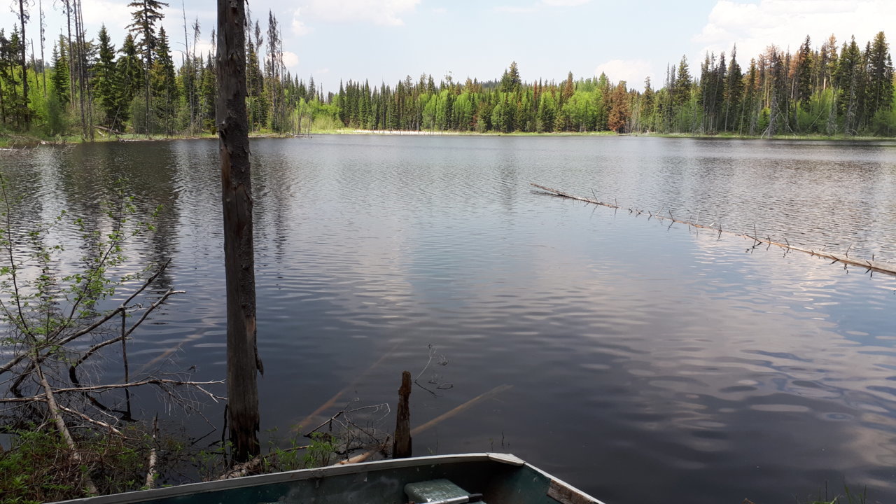 boat-at-lake.jpg