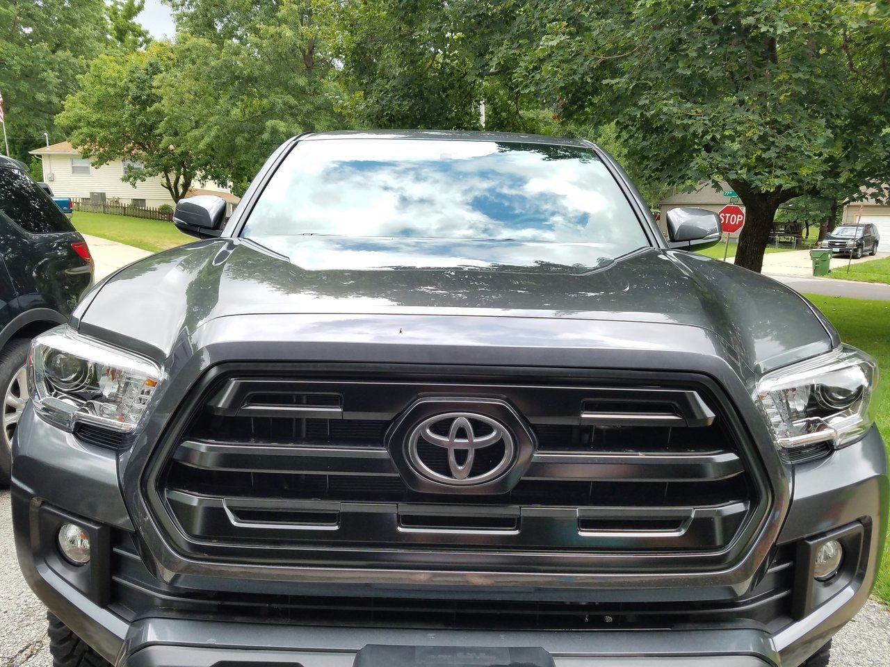 Body Colored Front Grille Emblem  close-up.jpg